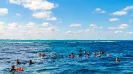 Snorkel en Arrecife Cancun