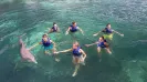 DELPHINUS DOLPHINCLUSIVE RIDE + XEL HA