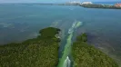 Cancun Jungle Tour: The Ultimate Family Water Adventure