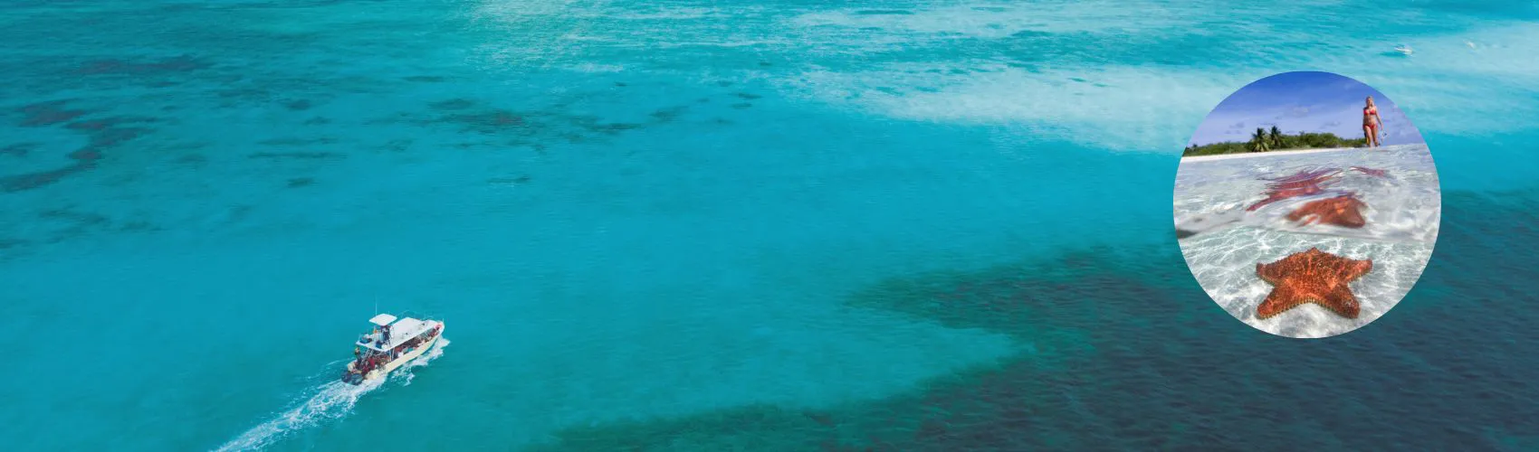 EL CIELO ( COZUMEL)