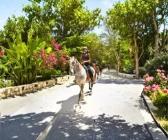Horse Back Riding Tour 