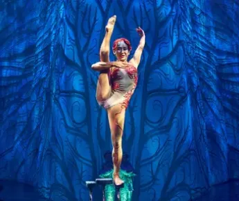 CIRQUE DU SOLEIL JOYA Show and Dinner