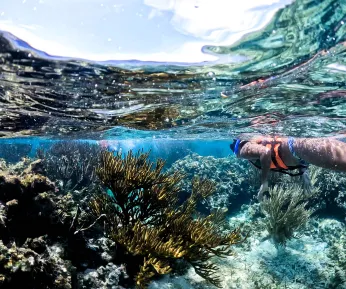 RIO SECRETO SALTY AND SWEET