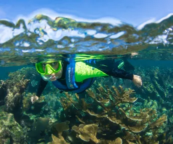  PARAISO AVENTURA SUBMARINO + SNORKEL