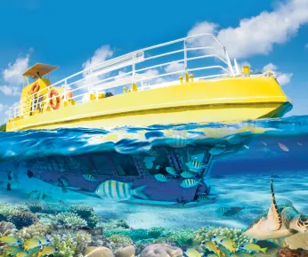 BARCO FONDO DE CRISTAL- PARADISE SUBSEE