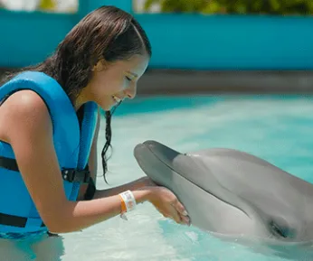 AQUARIO CANCUN DELPHINUS INTERAX