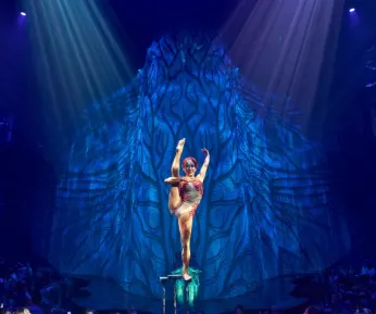 CIRQUE DU SOLEIL JOYA Show with gourmet appetizers