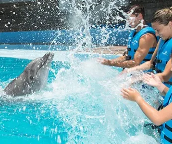 AQUARIUM CANCUN SPLASH PROGRAM