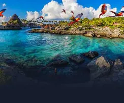 Xcaret and Xelha Special Package